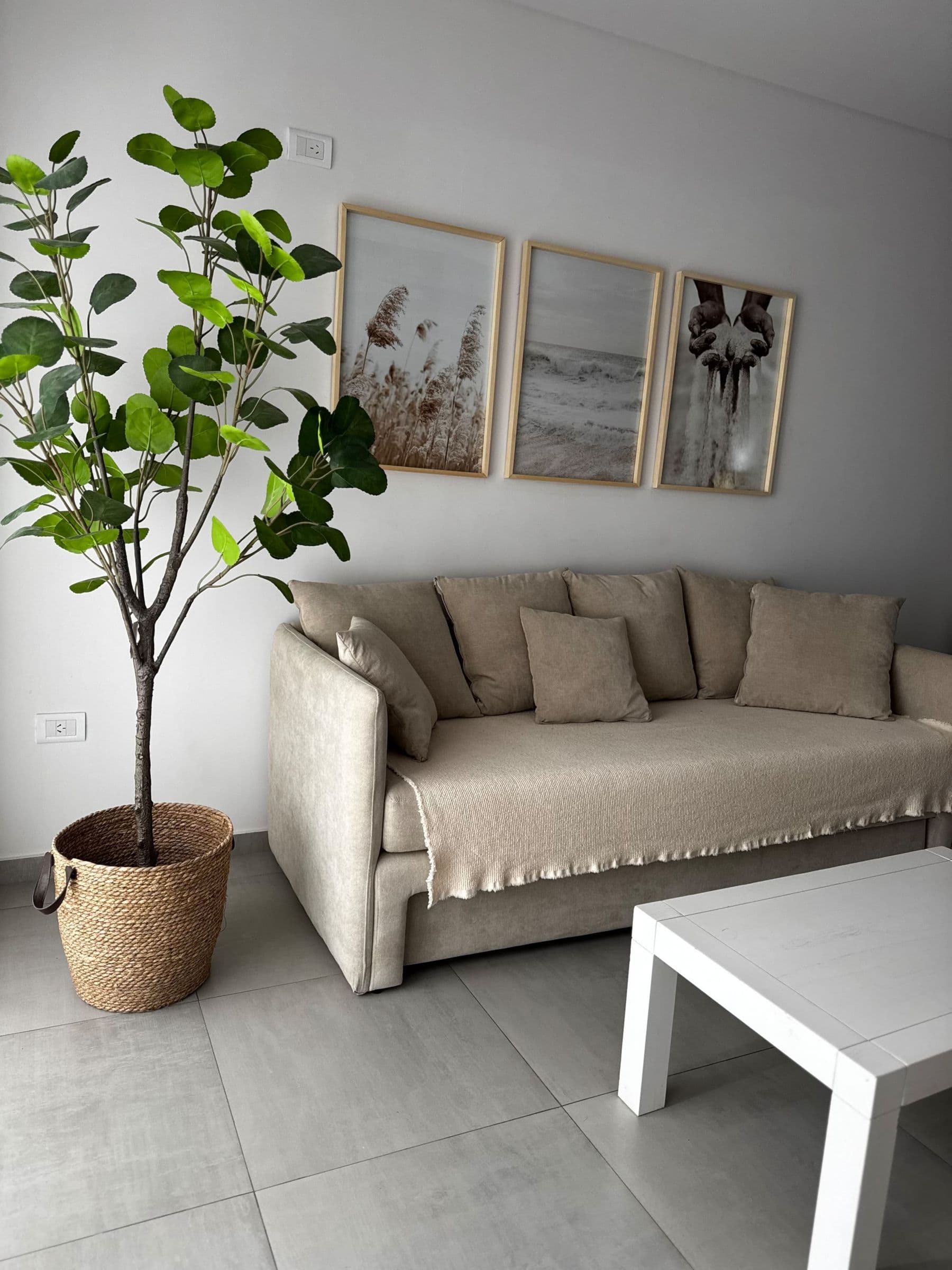 Sofá cama del living con cuadros y una planta grande