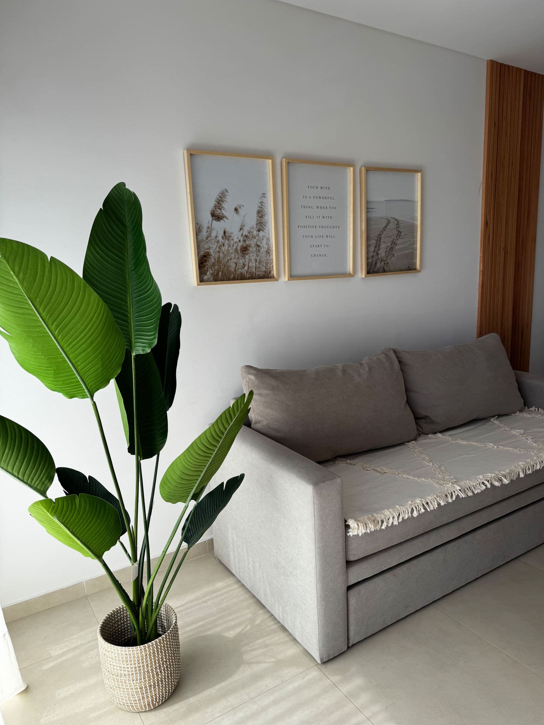 Sofá cama gris junto a una planta de hojas grandes